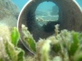 apnea tubo