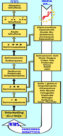 anis percorso didattico