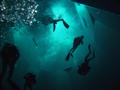 dal fondo di nemo33